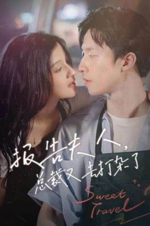 报告夫人，总裁又去打杂了电影海报