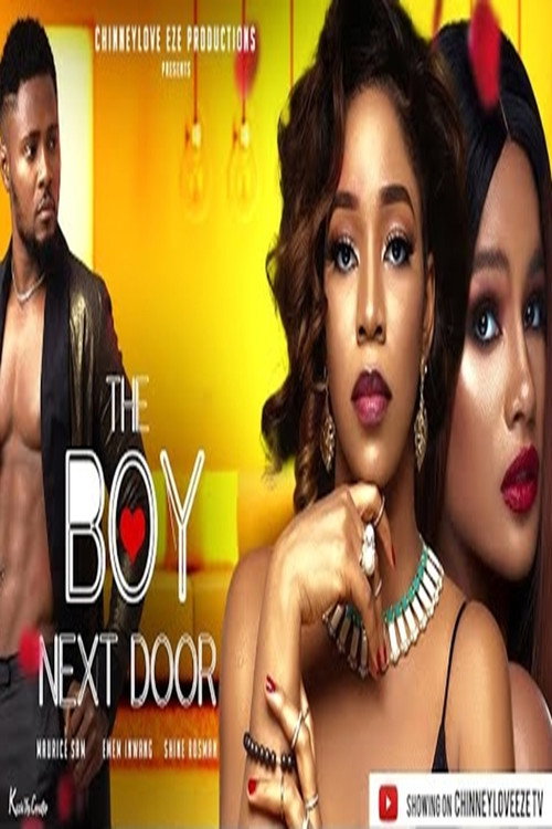 the boy next door poster 2