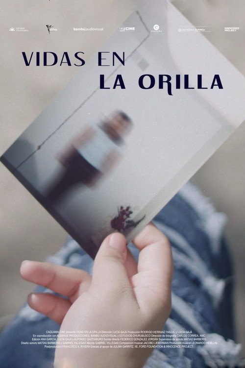 Vidas en la orilla's poster
