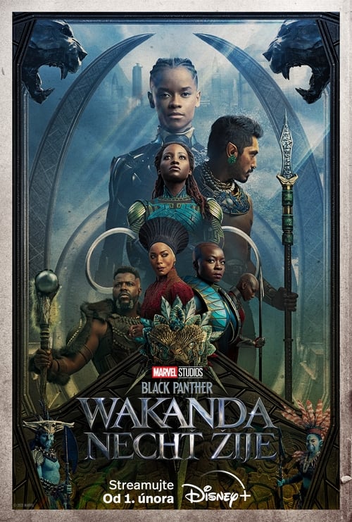 Black Panther Wakanda Forever