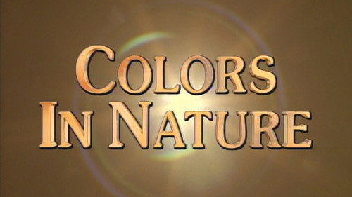 Colors in Nature