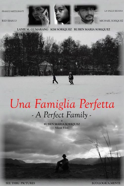 A Perfect Family Poster