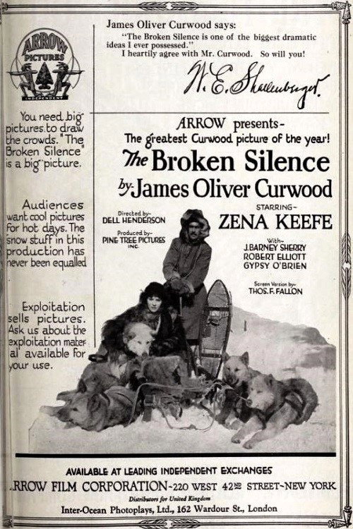 The Broken Silence poster 2