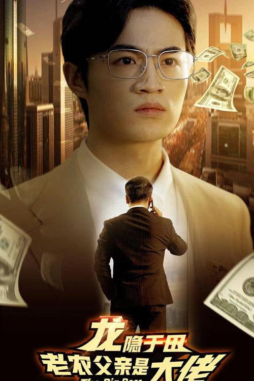 龙隐于田：老农父亲是大佬电影海报