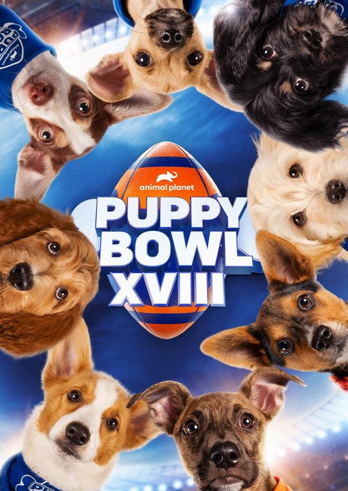 Puppy Bowl XVIII poster 1