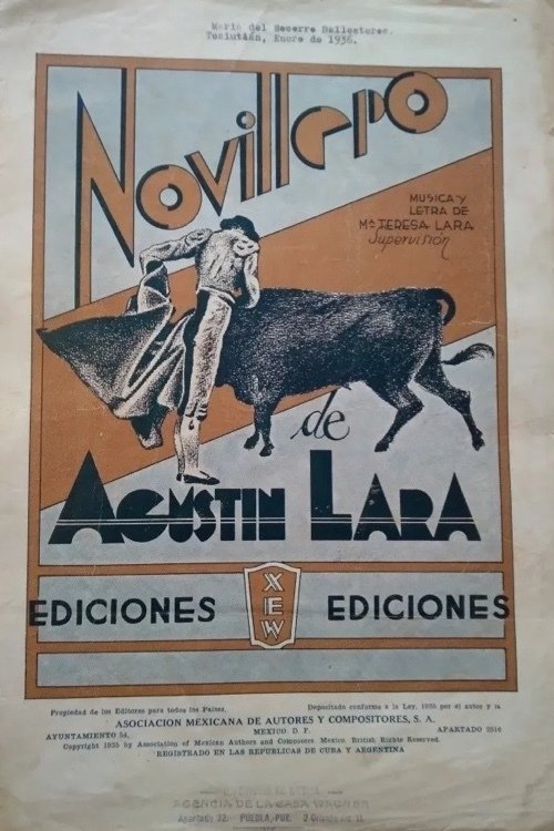 Novillero Poster