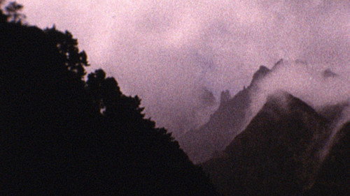 Backdrop