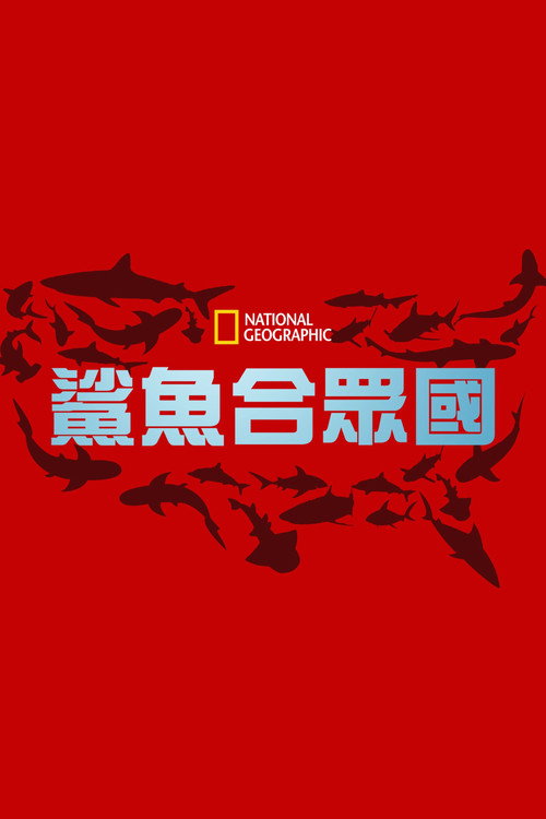 United Sharks of America电影海报