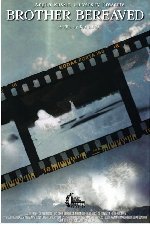 Poster for Brother Bereaved