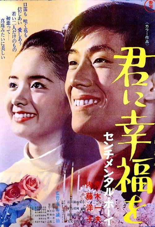 Happiness For You — Sentimental Boy poster 2