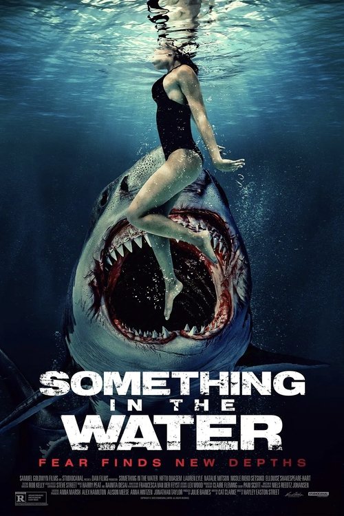 Something Poster