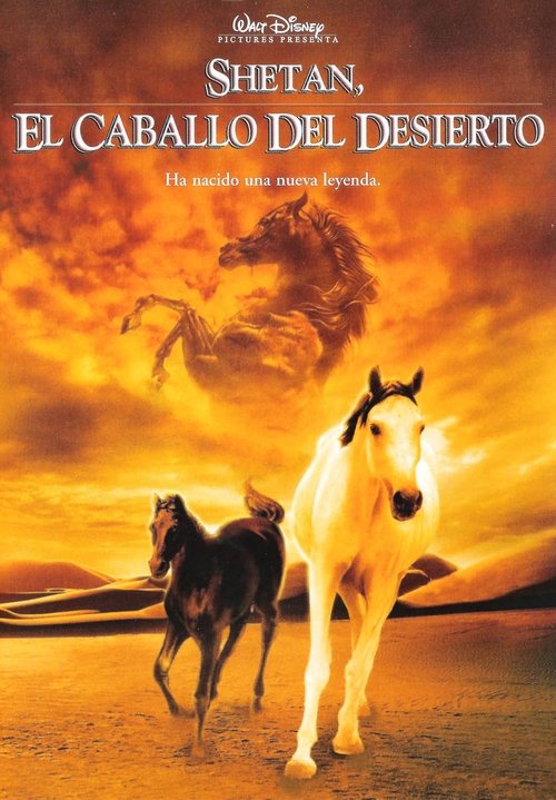 Poster of El joven Corcel Negro