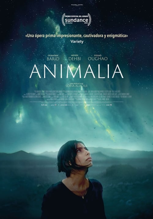 Poster of Animalia