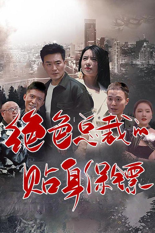 绝色总裁的贴身保镖电影海报