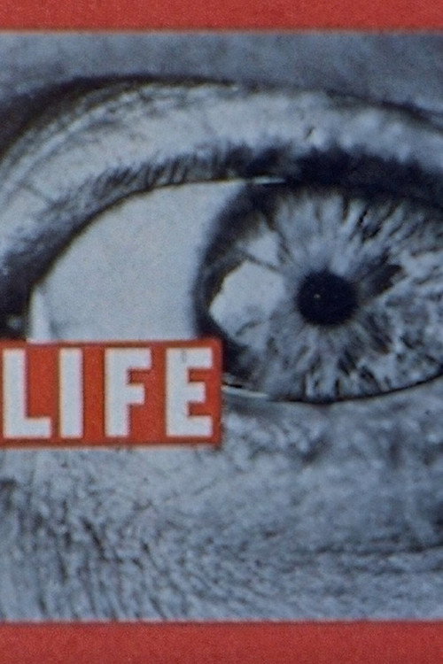 Life Life Life's poster