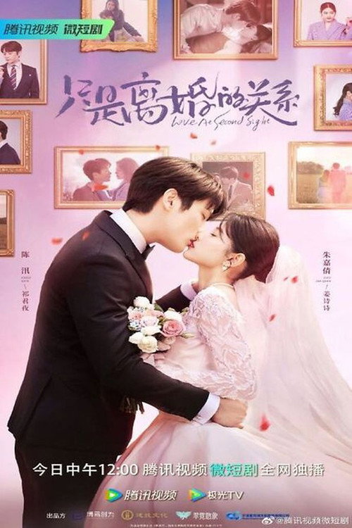 Crush on My Ex-Husband poster 4