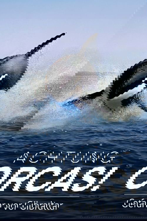 Achtung Orcas! Gefahr vor Gibraltar?