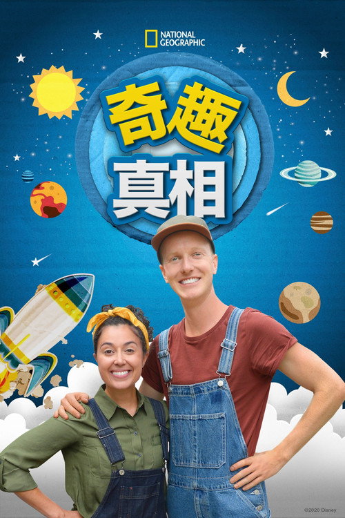 真的好奇怪电影海报