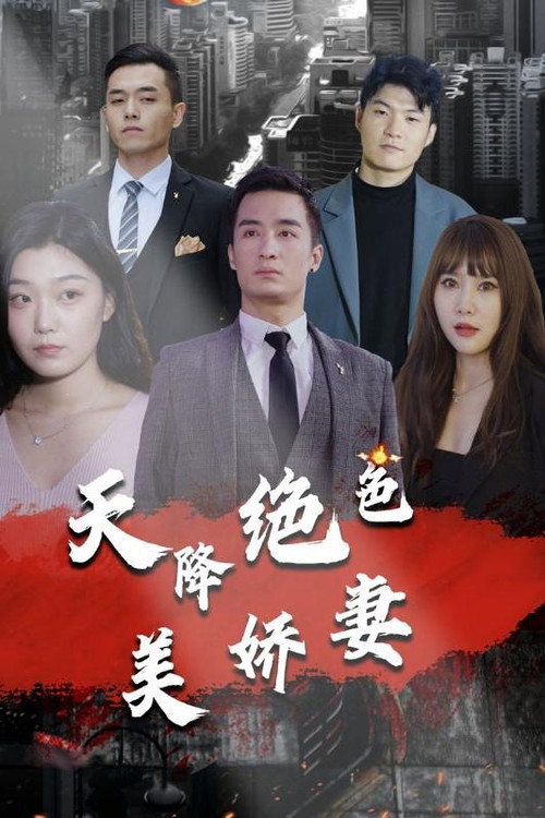 天降绝色美娇妻电影海报