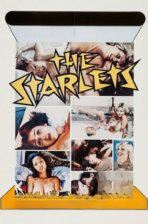 The Starlets poster 5