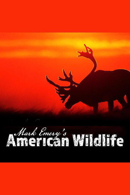 Mark Emery's American Wildlife电影海报