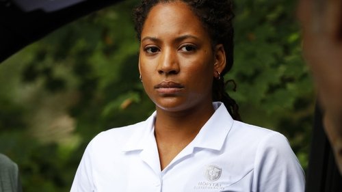 The Blacklist - Louis T. Steinhil (No. 27): Sonuç