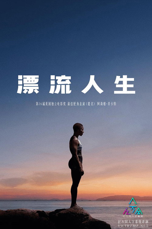 漂流人生电影海报