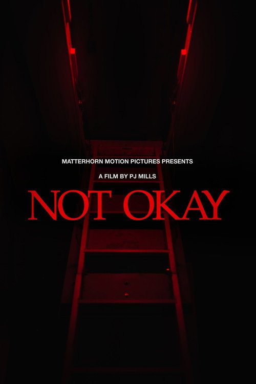 Not Okay Poster