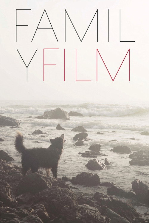Family Film Poster