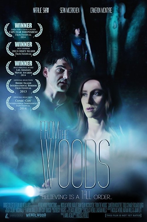 From The Woods Poster