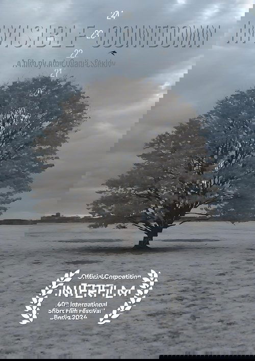 Invisible Countdown Poster