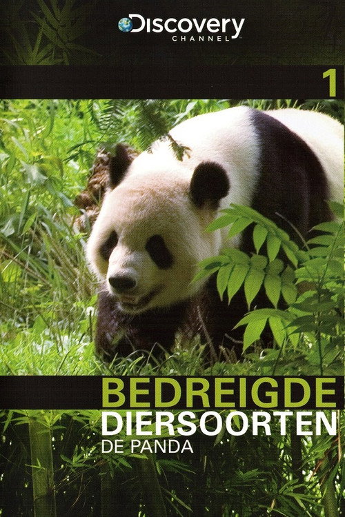 第 1 季