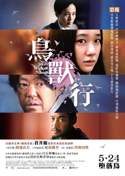 她不知道名字的那些鸟儿电影海报