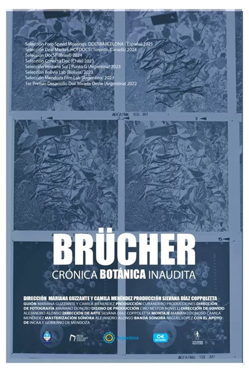 Brücher, Crónica Botánica Inaudita's poster