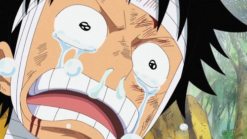 One Piece - 505. Bölüm