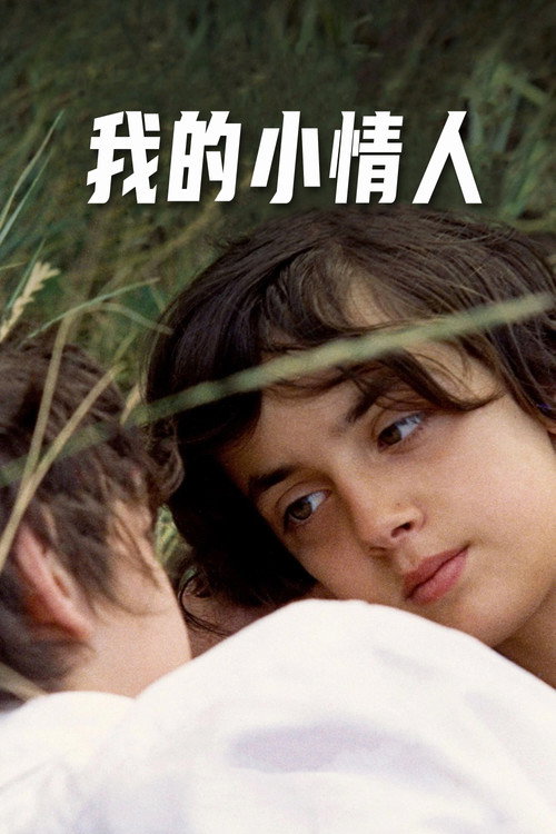 我的小情人电影海报