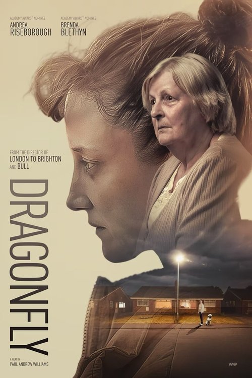 Dragonfly Poster