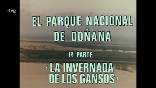 Doñana National Park I