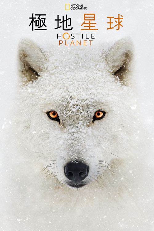 水深火热的星球电影海报