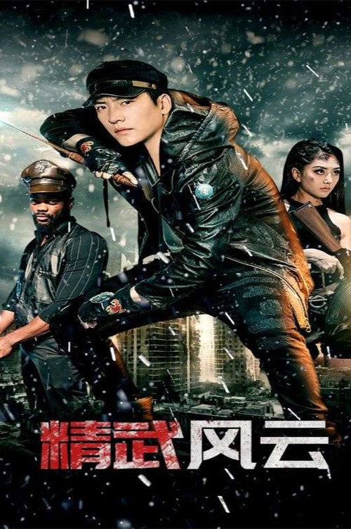精武风云电影海报