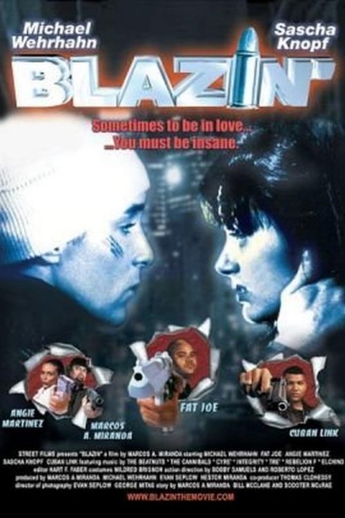 Blazin' (2001) Guarda il film in streaming online