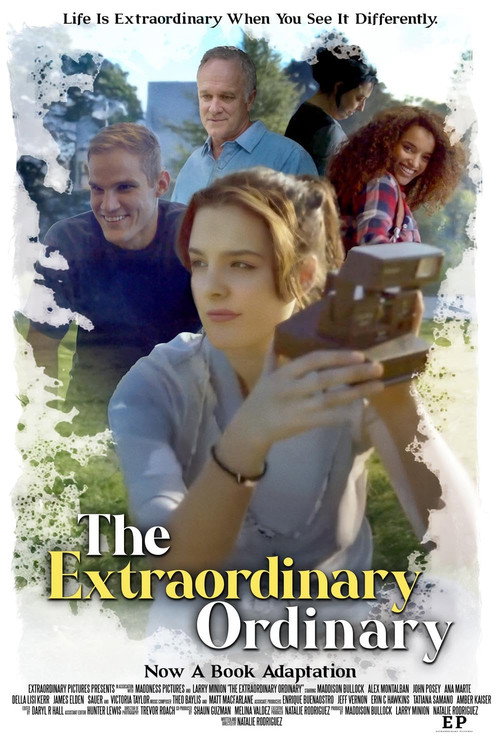 The Extraordinary Ordinary poster 4