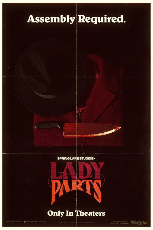 Lady Parts poster 2