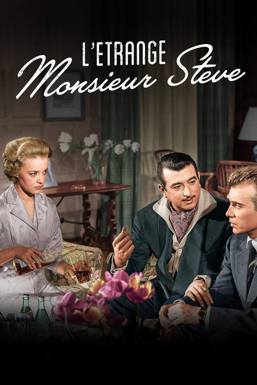 The Strange Mr. Steve poster 4
