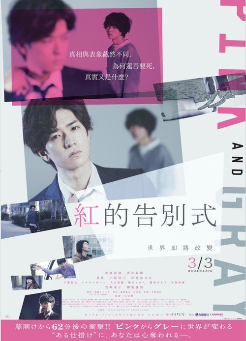 粉与灰电影海报