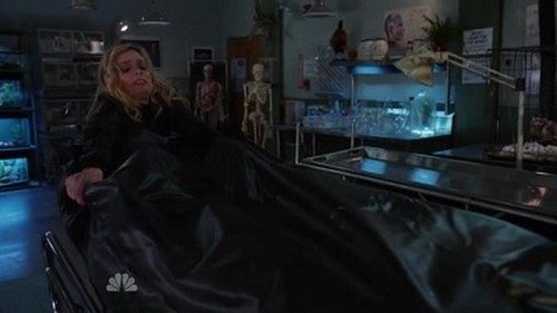 Community - İllüzyon Bilimi