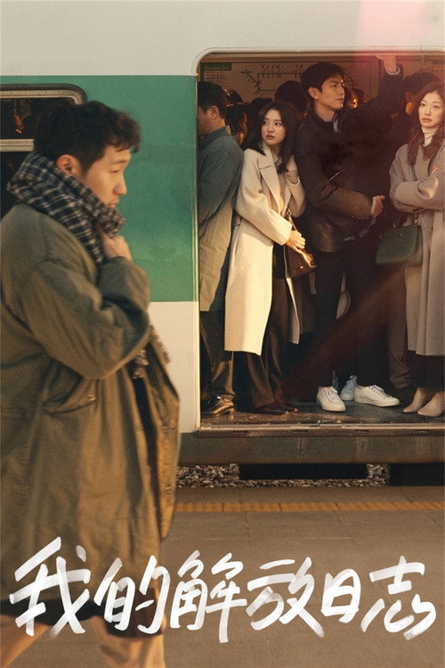 我的解放日记电影海报