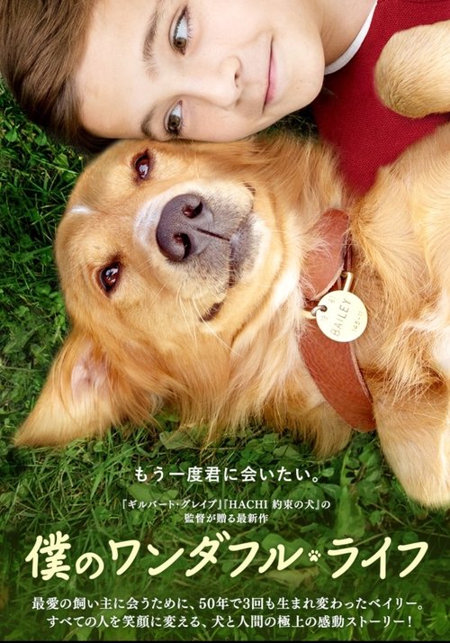 ストリーミング 僕のワンダフル・ライフ (2017) フルHD オンライン無料 僕のワンダフル・ライフ (2017) フルムービーストリーミングをオンラインで見る