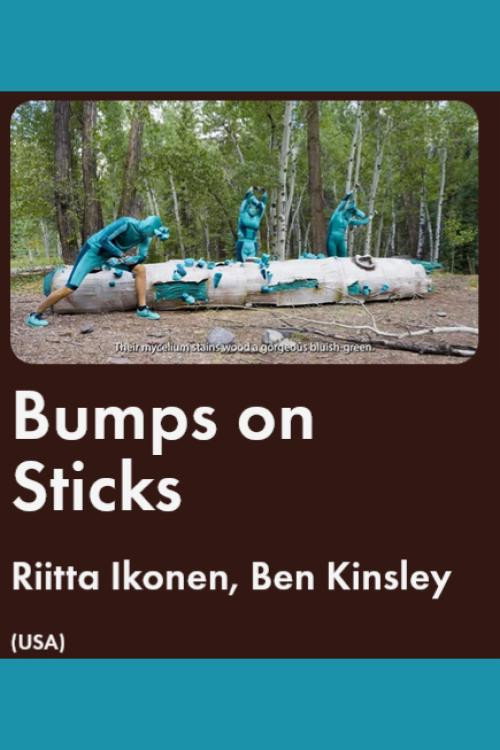 Bumps on Sticks电影海报