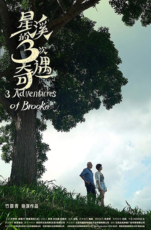 Three Adventures of Brooke (2019) Watch Full HD Movie google drive